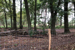 Gemeente plaatst hekken, bewoners van Witbrant-Oost kunnen geen ommetje meer maken